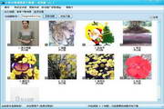 Kobayashi 56 photo album batch downloader