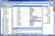 Xinchengsoft Data Converter (formerly Tianxing Haisha Data Converter)