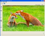 Change Image Transparency Tool Professional Edition