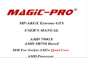 Brilliant MP-AKGX Extreme GTS motherboard English version manual.