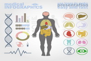 Human body anatomy diagram vector