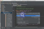 PhpStorm For windows