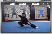 Chen style Tai Chi teaching software