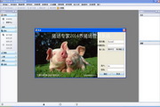 Pig Farm Expert-Pig Farm Information Management System