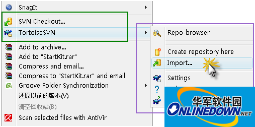 TortoiseSVN server configuration software