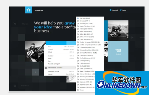 Screenshot of the new chrome browser font encoding plug-in