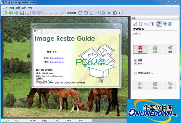 Image Resize Guide