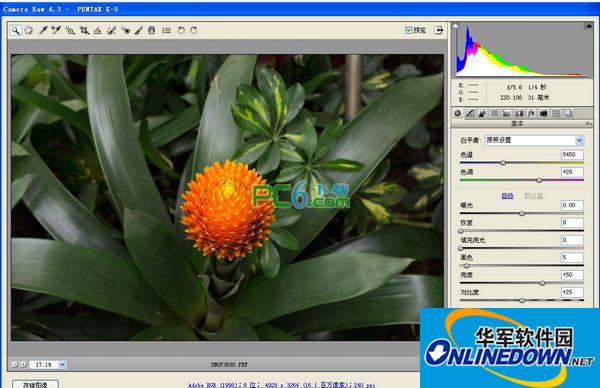 raw format editing software (Camera Raw)