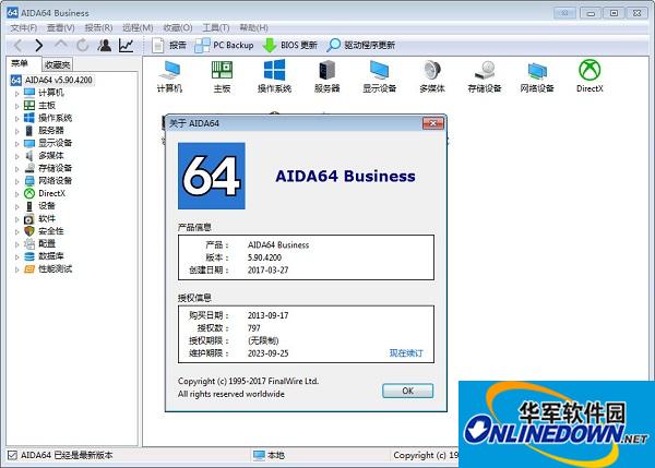 aida64 business screenshot