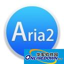 aria2 self-made single file download artifact