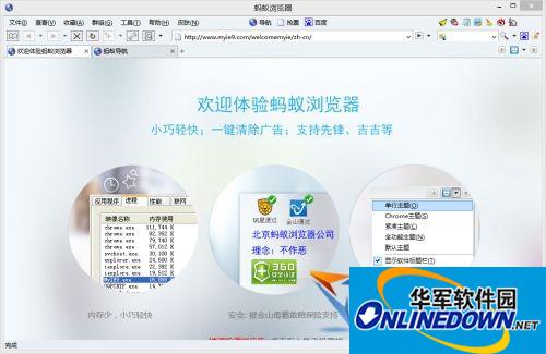 Ant browser (Myie9 browser)