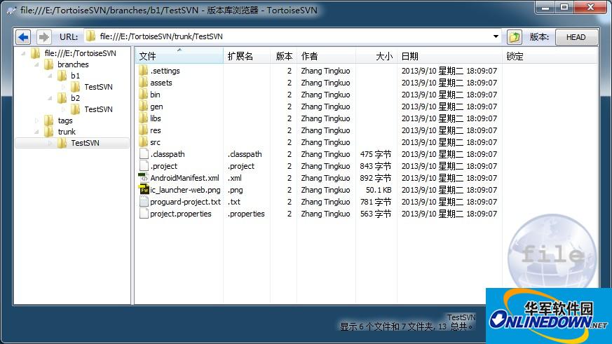 Screenshot of version management tool (TortoiseSVN)