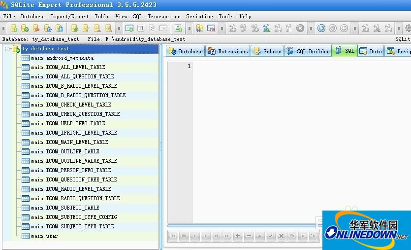 Screenshot of SQLite visual management tool (SQLite Expert Pro)