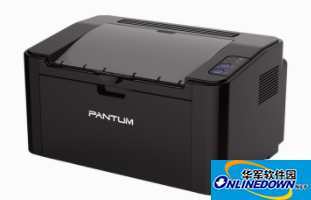 Pantum P2500 printer driver screenshot