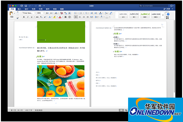 Word for Mac screenshot