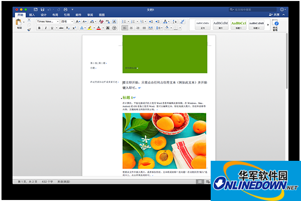 Word for Mac screenshot