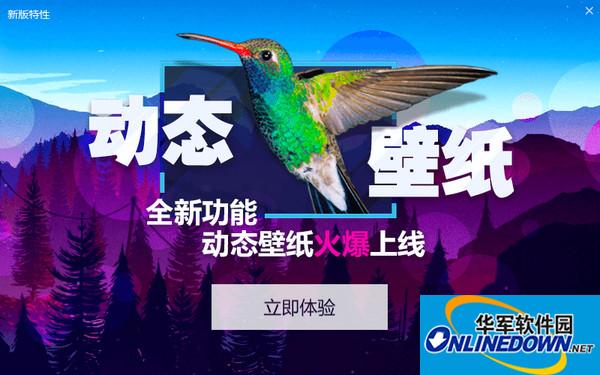 Screenshot of bird wallpaper