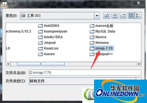 Screenshot of Nmap scanning tool
