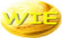 WIE browser section first LOGO