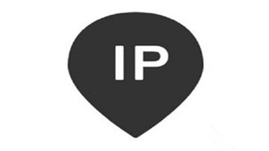 IP query