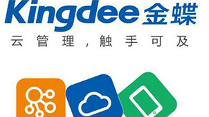 Kingdee Software