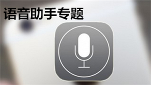 voice assistant