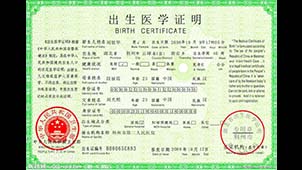 Birth Medical Certificate Software Special Topic