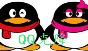 qq clone