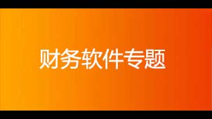 Financial software topics