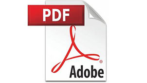 pdf file