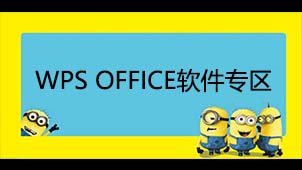 WPS OFFICE software area