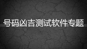 Special topic on test software for bad and bad numbers