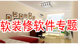 Special topic on soft decoration software