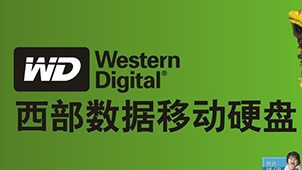 Western Digital Hard Drive