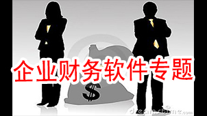 Special topics on enterprise financial software