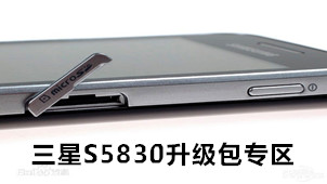 Samsung S5830 upgrade package area