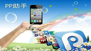 PP mobile phone