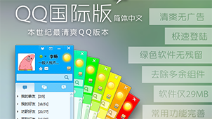 International version