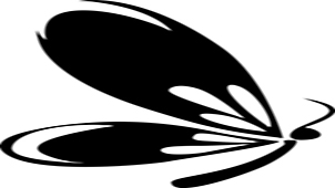 Vector Graphics Zone