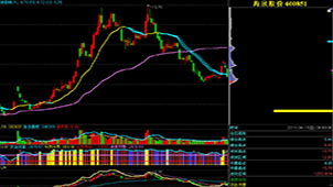 Complete collection of individual stock analysis