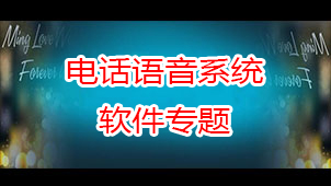 Special topic on telephone voice system software