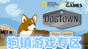 Dog Town Game Zone