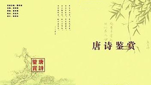 Tang Poetry Appreciation Collection