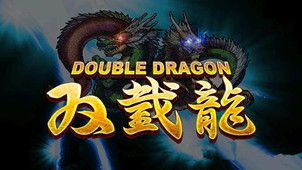 Arcade Double Dragon Game Zone