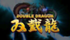 Arcade Double Dragon Game Zone