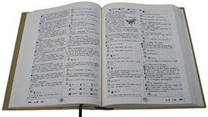 Chinese dictionary topic