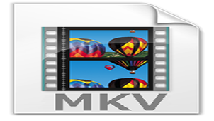 Special topic on mkv format