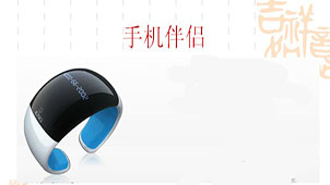 Mobile companion encyclopedia