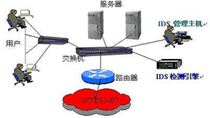 Special Topic on Intrusion Detection Systems