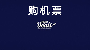 Air ticket purchase encyclopedia